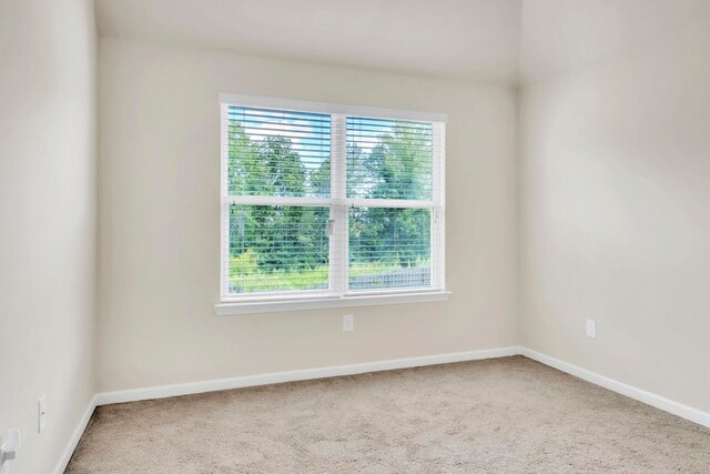 238 Heatherwood Ln, Greer, SC 29615 - photo 26