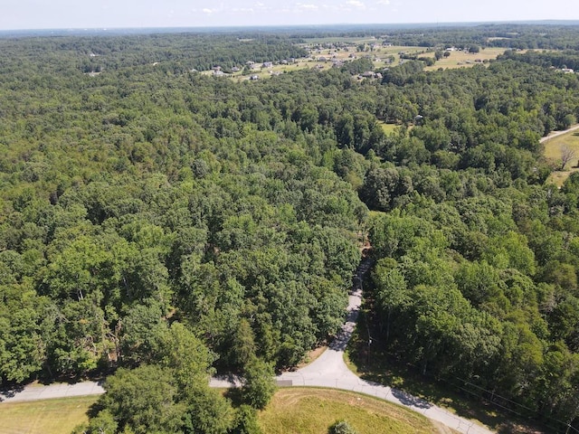 660 Hunters Rd, Roebuck, SC 29376 - photo 11