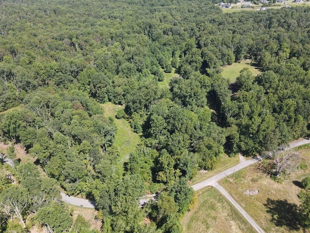 660 Hunters Rd, Roebuck, SC 29376 - photo 33
