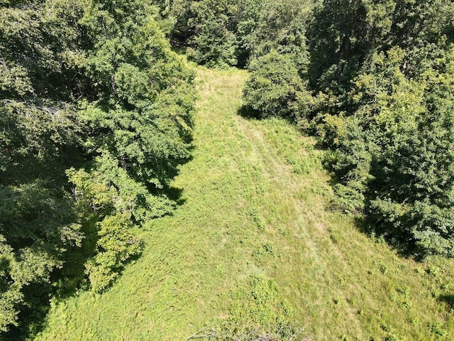 660 Hunters Rd, Roebuck, SC 29376 - photo 34