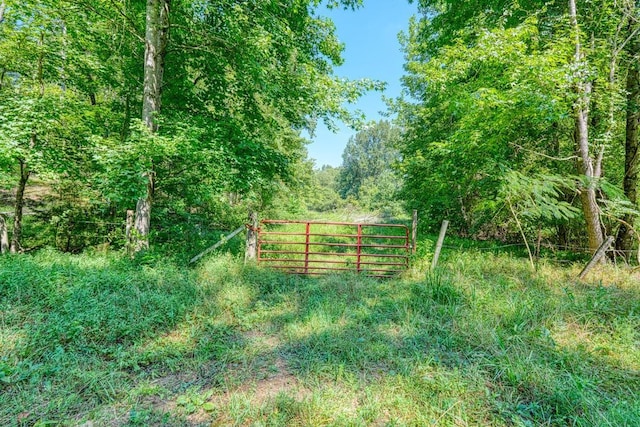 660 Hunters Rd, Roebuck, SC 29376 - photo 37