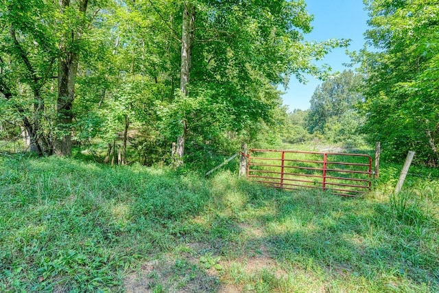660 Hunters Rd, Roebuck, SC 29376 - photo 38