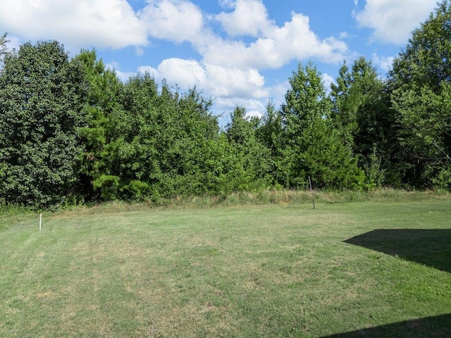 304 Blakely Ct, Lyman, SC 29365 - photo 37