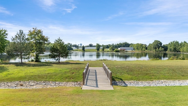 1041 Cortland Vly, Duncan, SC 29334 - photo 48