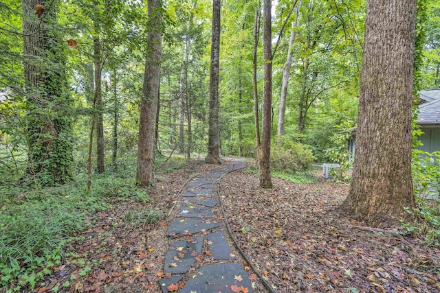 5 Juniper Ct, Spartanburg, SC 29302 - photo 27