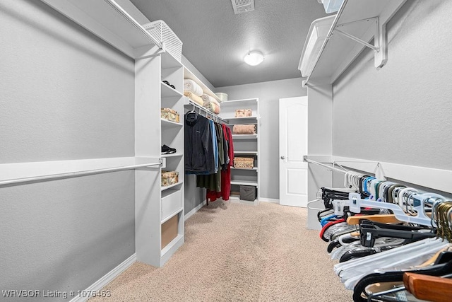 walk in closet featuring light colored carpet