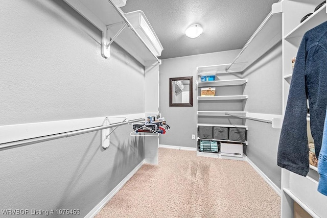 walk in closet with carpet