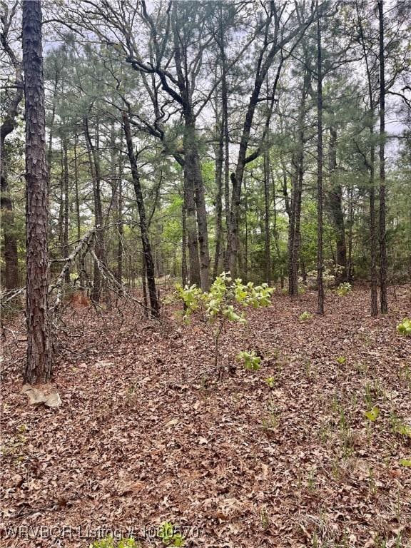 TBD SW 184th Rd, Wilburton, OK 74578