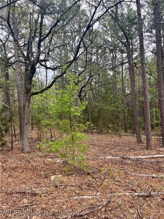 TBD SW 184th Rd, Wilburton, OK 74578