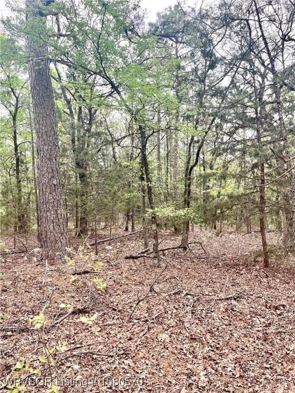 TBD SW 184th Rd, Wilburton, OK 74578