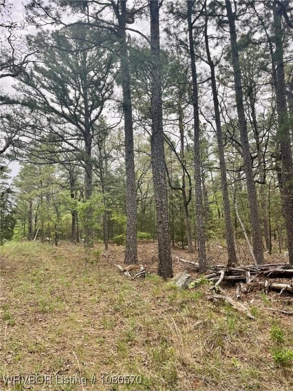 TBD SW 184th Rd, Wilburton, OK 74578