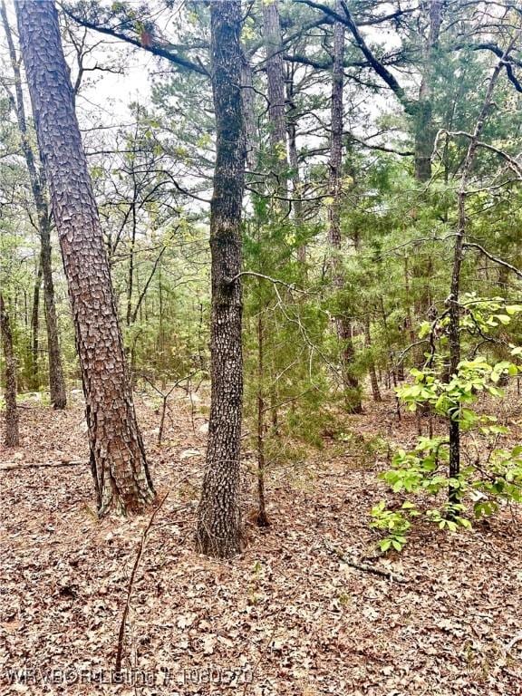 TBD SW 184th Rd, Wilburton, OK 74578