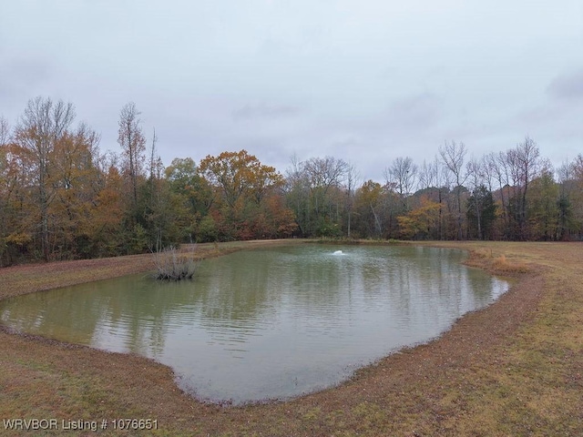 view of water feature