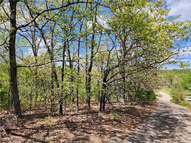 Listing photo 2 for tbd Bearclaw Trail, Fort Smith AR 72916