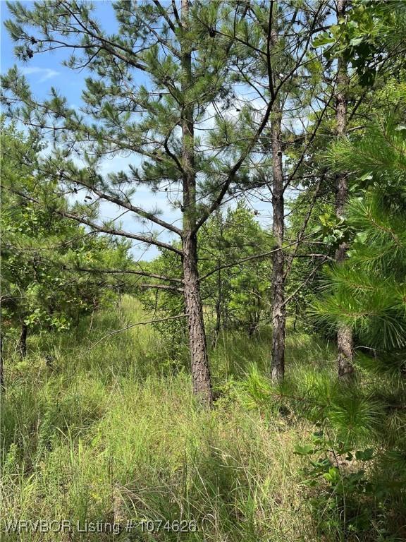 TRACT1 E 1090th Rd, Henryetta OK, 74437 land for sale