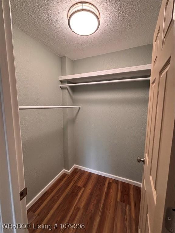 spacious closet featuring dark wood-style flooring