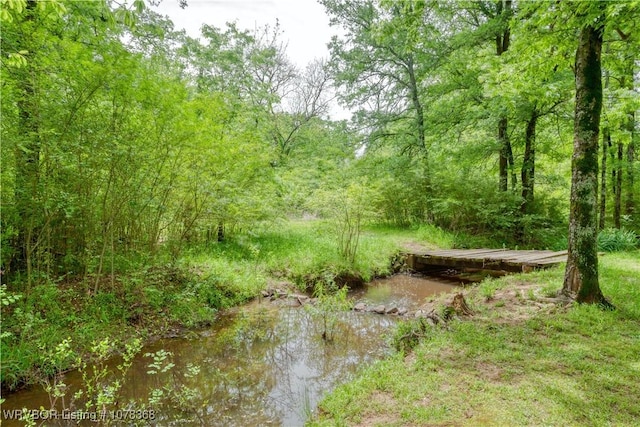 view of local wilderness featuring a forest view