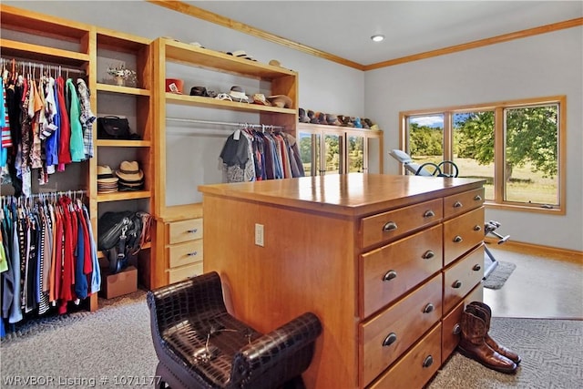 spacious closet with light carpet