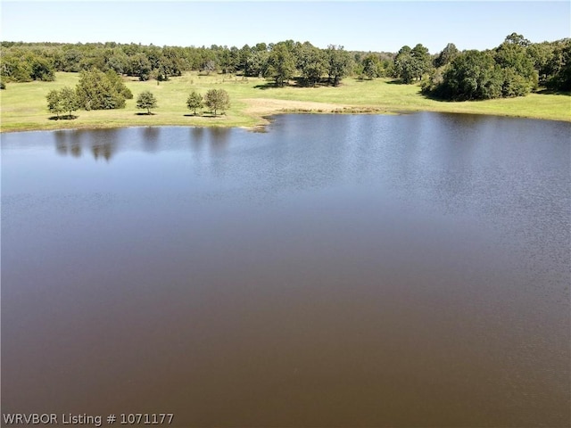 view of water feature