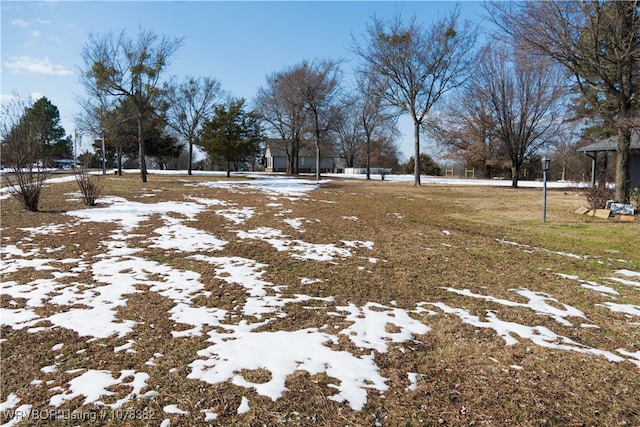 view of snowy yard