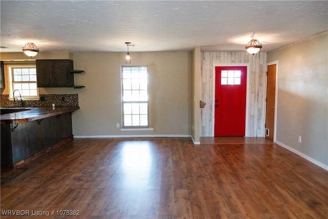 entryway featuring a healthy amount of sunlight, sink, a textured ceiling, and dark hardwood / wood-style floors