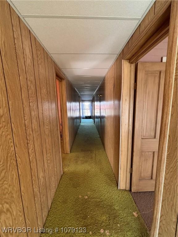 corridor featuring carpet floors and wood walls