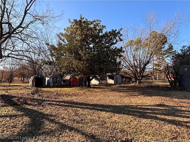 view of yard featuring a storage shed and an outdoor structure