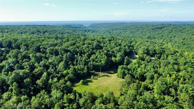 8500 Rock Creek Rd, Mulberry, AR 72947 - photo 42