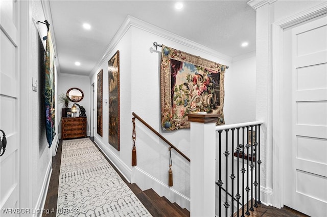 hall featuring crown molding and dark hardwood / wood-style floors