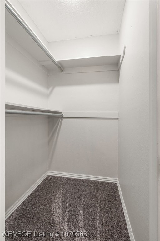 spacious closet featuring carpet floors