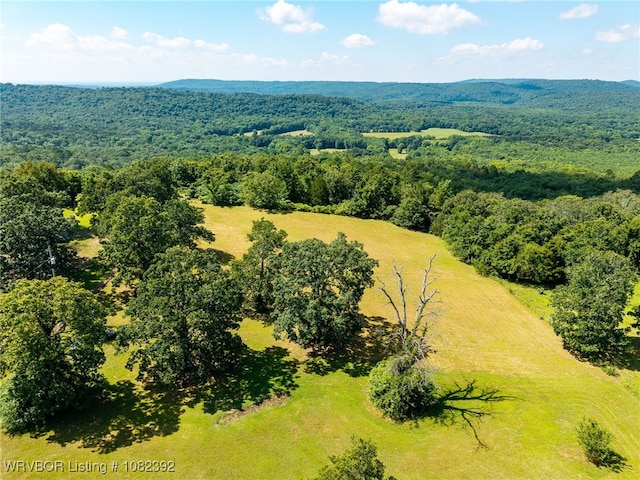 5432 Wildwood Rd, Van Buren, AR 72956 - photo 4