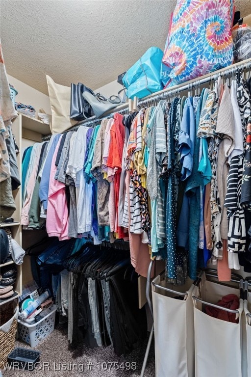 spacious closet with carpet flooring