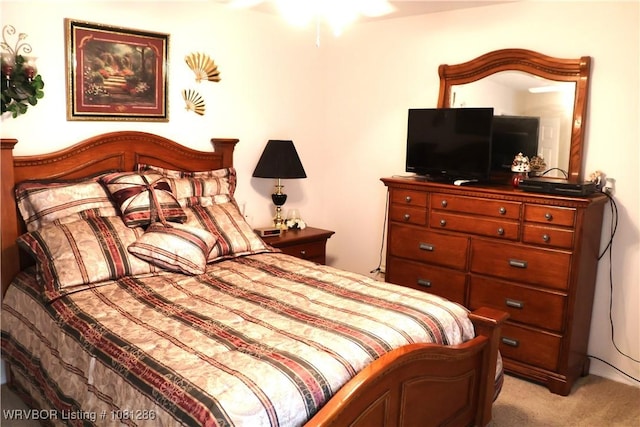 2103 W George, Pocola, OK 74902 - bedroom with light carpet