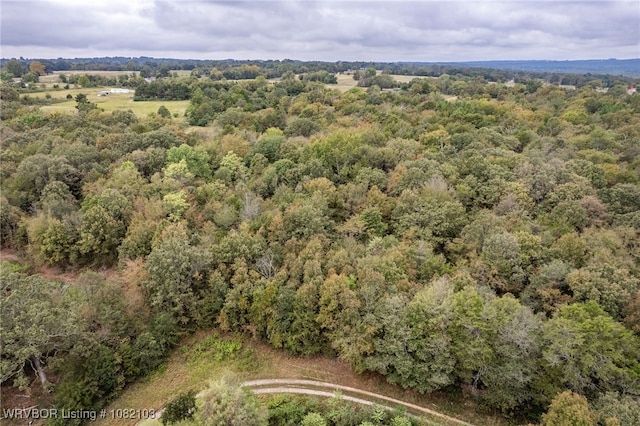 5492 Brown Ln, Ozark, AR 72949 - photo 20