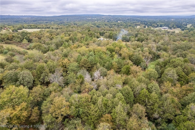 5492 Brown Ln, Ozark, AR 72949 - photo 13