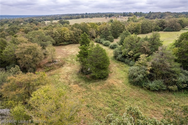5492 Brown Ln, Ozark, AR 72949 - photo 18