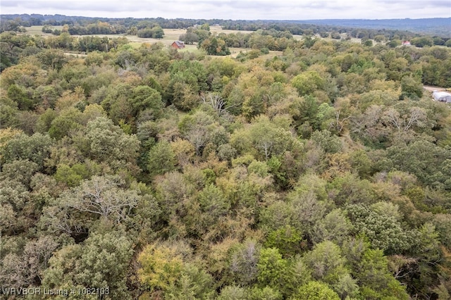 5492 Brown Ln, Ozark, AR 72949 - photo 21