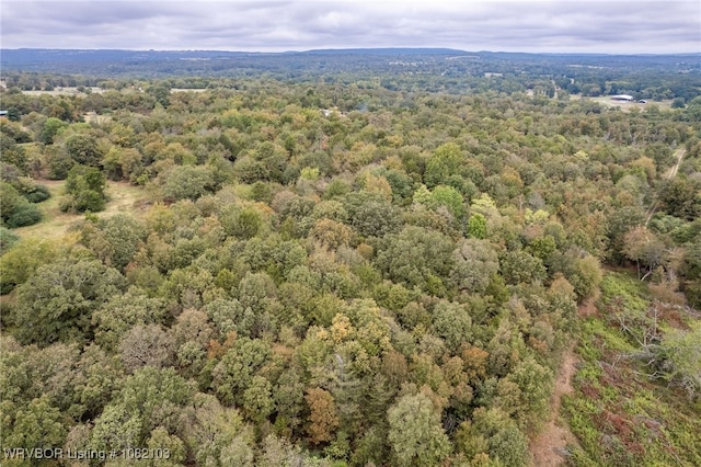 5492 Brown Ln, Ozark, AR 72949 - photo 10