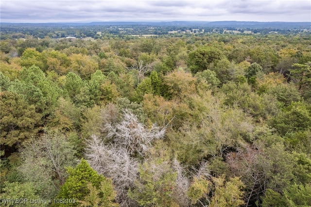 5492 Brown Ln, Ozark, AR 72949 - photo 17