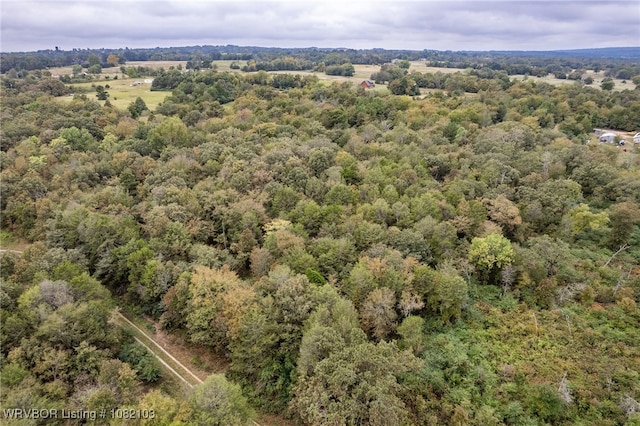 5492 Brown Ln, Ozark, AR 72949 - photo 9