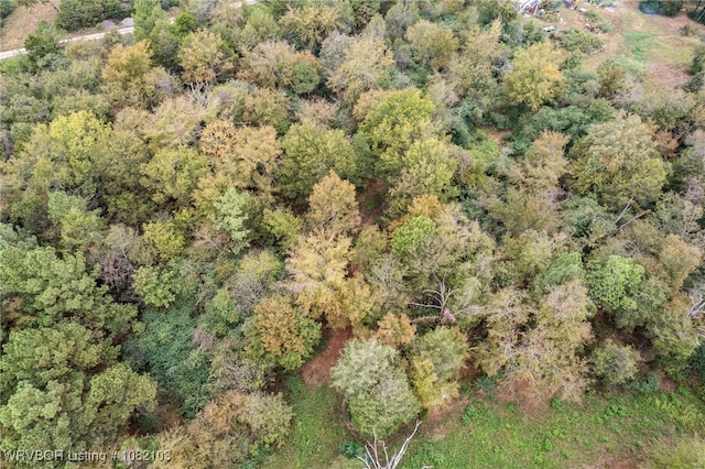 5492 Brown Ln, Ozark, AR 72949 - photo 23