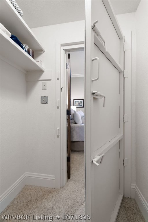 spacious closet featuring carpet floors