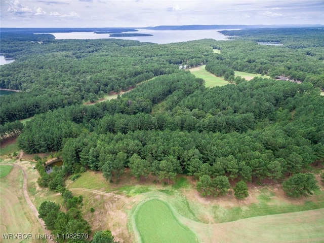 650 Tannanbaum Rd, Ar, AR 72530 - photo 5