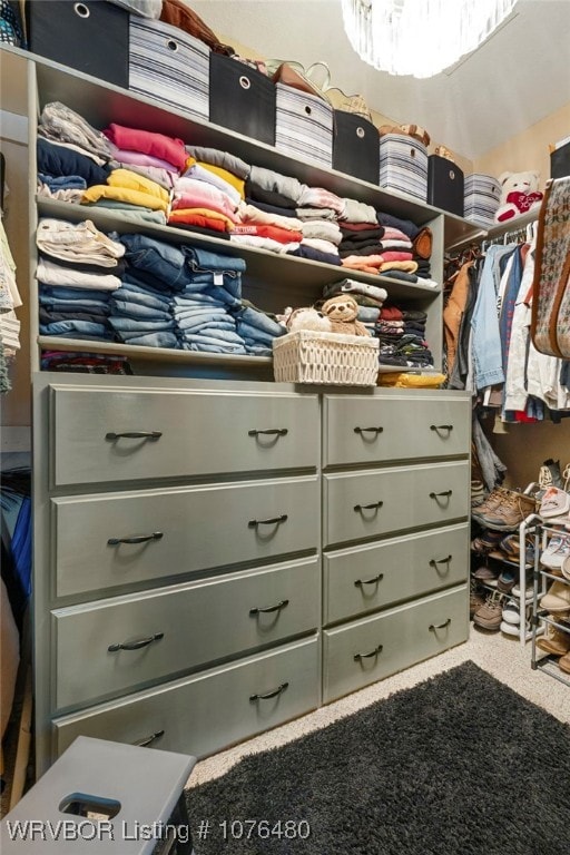 spacious closet featuring carpet