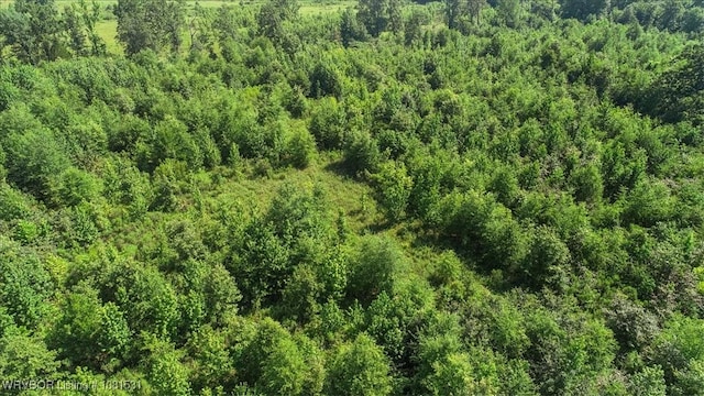 5AC Old 21 Rd, Idabel, OK 74745