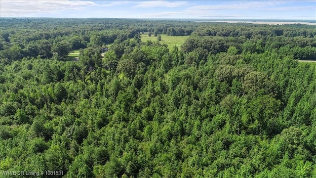 5AC Old 21 Rd, Idabel, OK 74745