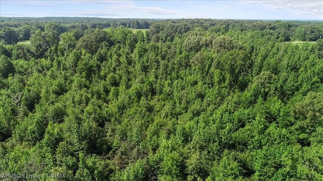 5AC Old 21 Rd, Idabel, OK 74745