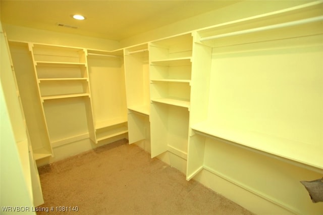 98926 S 4610th Rd, Marble City, OK 74945 - walk in closet featuring light colored carpet
