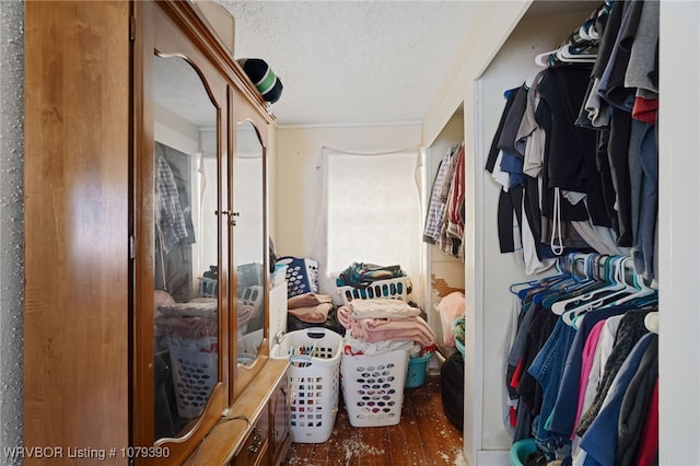 spacious closet featuring wood finished floors