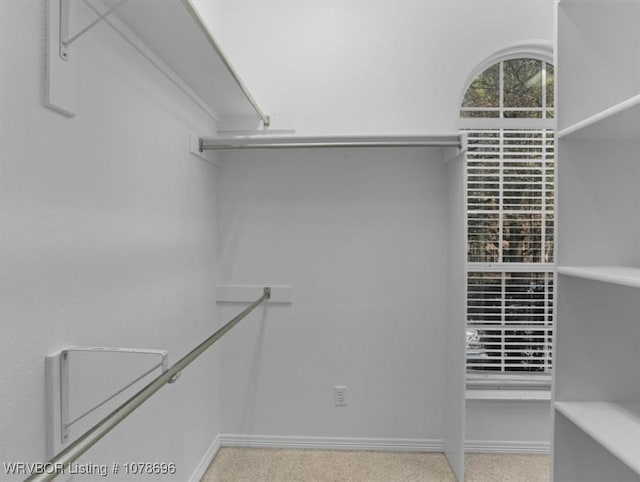 view of spacious closet